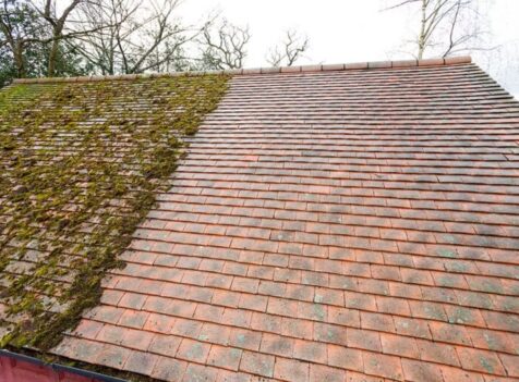 roof moss removal lincolnshire